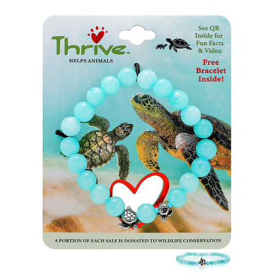 Sea Turtle Bracelet